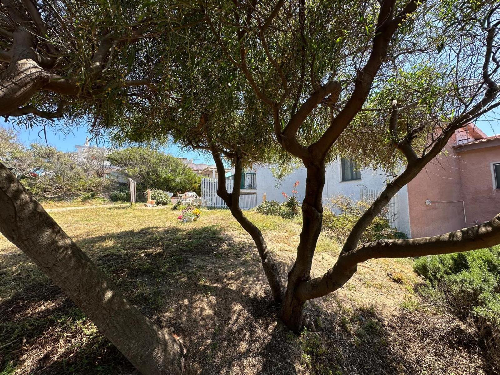 Appartamenti Magnolie-La Pineta Valledoria  Dış mekan fotoğraf